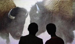 人和狗做爱视频,揭秘真实情感交织的禁忌世界